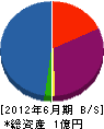 竹松組 貸借対照表 2012年6月期