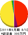 竹内電気工事事務所 貸借対照表 2011年6月期