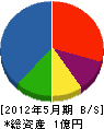 野田技建 貸借対照表 2012年5月期