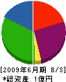 八甲通信サービス 貸借対照表 2009年6月期