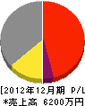 昌栄亀井 損益計算書 2012年12月期