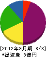 田村工務店 貸借対照表 2012年9月期