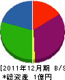 竜石電工 貸借対照表 2011年12月期