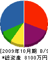 袴田合板 貸借対照表 2009年10月期