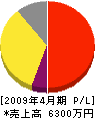 ピー・アール・九州 損益計算書 2009年4月期