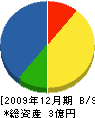 鍋田組 貸借対照表 2009年12月期
