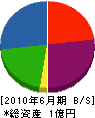 田中土木 貸借対照表 2010年6月期