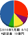 大島組 貸借対照表 2010年5月期