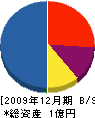 昭和 貸借対照表 2009年12月期