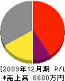 江崎電工 損益計算書 2009年12月期