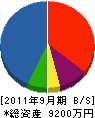 川内開発 貸借対照表 2011年9月期