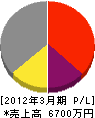 小野崎電気工業所 損益計算書 2012年3月期