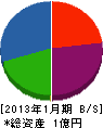寺田 貸借対照表 2013年1月期