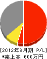 津田建設 損益計算書 2012年6月期