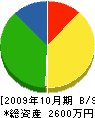 宮崎組 貸借対照表 2009年10月期