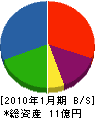 平澤建設 貸借対照表 2010年1月期