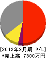 松川工芸 損益計算書 2012年3月期
