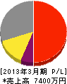篠田電機 損益計算書 2013年3月期