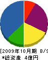 生田建設 貸借対照表 2009年10月期