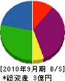 三井興業 貸借対照表 2010年9月期