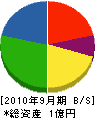 北海道ラインファルト 貸借対照表 2010年9月期