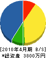 中沢商店 貸借対照表 2010年4月期