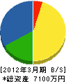 井戸惣工業 貸借対照表 2012年3月期