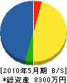滋賀大和電設工業 貸借対照表 2010年5月期