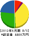 玉井工務店 貸借対照表 2012年6月期