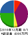 長沢工業 貸借対照表 2010年12月期