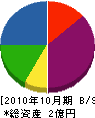 静岡システム特機 貸借対照表 2010年10月期