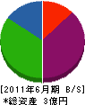 丸山工業 貸借対照表 2011年6月期