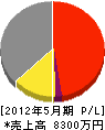 鬼塚ロード工業 損益計算書 2012年5月期