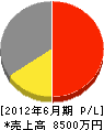 新川電気 損益計算書 2012年6月期