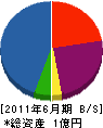 藤原電工 貸借対照表 2011年6月期