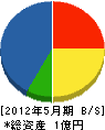 丸雄技研 貸借対照表 2012年5月期