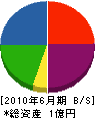 小川工務店 貸借対照表 2010年6月期