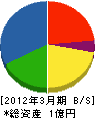 出亜電気工業 貸借対照表 2012年3月期