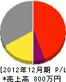 瀬戸内開発 損益計算書 2012年12月期