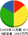 田中電機商会 貸借対照表 2009年12月期