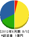 内山電気商会 貸借対照表 2012年6月期