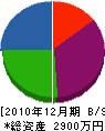 石村電気 貸借対照表 2010年12月期