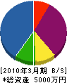 松隈工務店 貸借対照表 2010年3月期