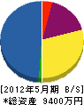 筒井電工 貸借対照表 2012年5月期