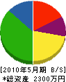 本田ポンプ店 貸借対照表 2010年5月期