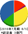 斉藤ポンプ工業 貸借対照表 2010年7月期