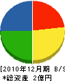 斉藤組 貸借対照表 2010年12月期