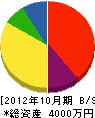 丸橋電気 貸借対照表 2012年10月期