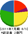 大竹第一工業 貸借対照表 2011年7月期