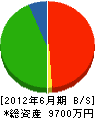 西川興業 貸借対照表 2012年6月期